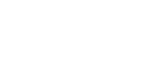 sylfirm-x-logo-white