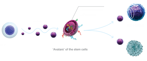 What is exosome